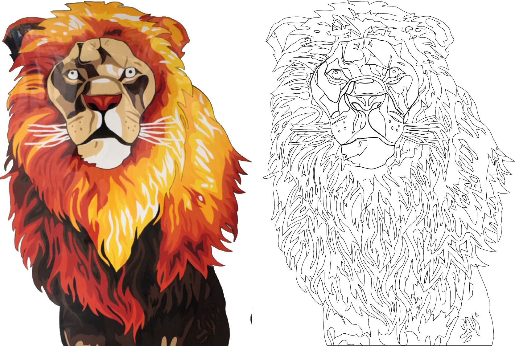 lion